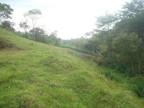 LOTE 0003 GUARNE VEREDA JUAN XXIII