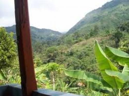 REMATO HERMOSA FINCA CAFETERA VIA BOGOTA LA MESA A UNA HORA DE BOGOTA EXCELENTE CLIMA TIERRAS DESCANSADAS APTAS PARA CULTIVO CAFE Y BANANO TIENE CASA 
