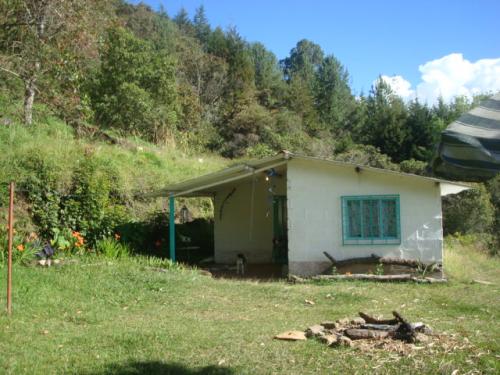 LOTE 0013 GUARNE VEREDA LA CLARA