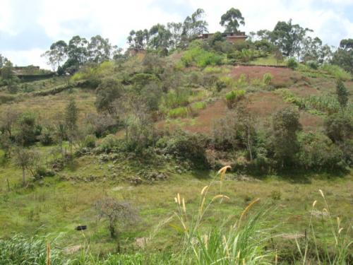 LOTE 0038 GUARNE  VEREDA CHAPARRAL