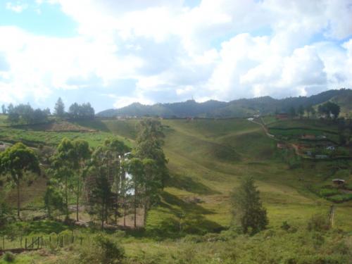 LOTE 0023 GUARNE  VEREDA CHAPARRAL