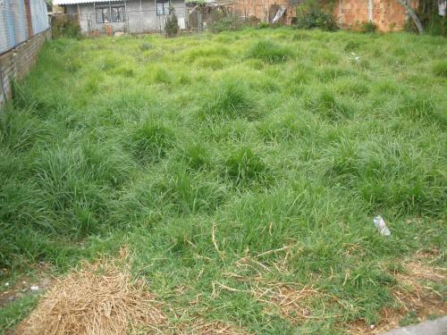 2 LOTES CHIA VDA BOJACA SECTOR BOCHICA CON SERVICIOS 7 * 30
