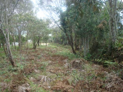LOTE 0053 GUARNE VEREDA MONTE OSCURO