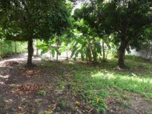 Se vende o permuta lote esquinero 