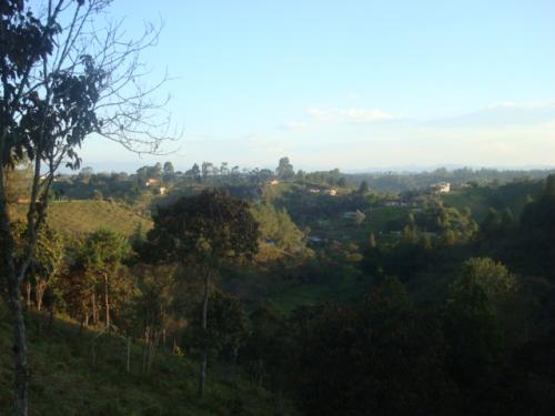 LOTE 0068 GUARNE VEREDA EL COLORADO
