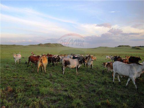 VENTA FINCA OROCUE - CASANARE - VEREDA EL HATICO