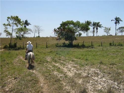 VENTA FINCA - PUERTO LOPEZ - META - VEREDA YURIMENA 