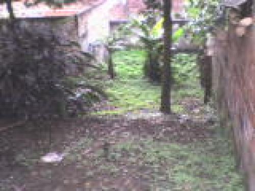 Vendo casa con apartamento, sotano y solar gigante para construir.