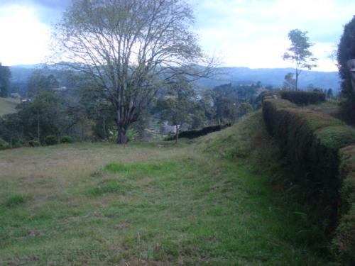 LOTE 0074 GUARNE VEREDA LA CLARA