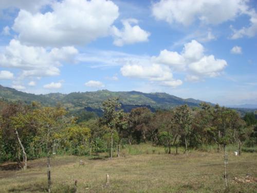 LOTE 0078 GUARNE VEREDA LA PASTORCITA