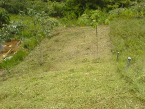 EN ZONA DE ALTA PROYECCIÓN, TRANQUILA, SITIO SANO CON AIRE FRESCO Y PURO , EN CALI, Y DENTRO