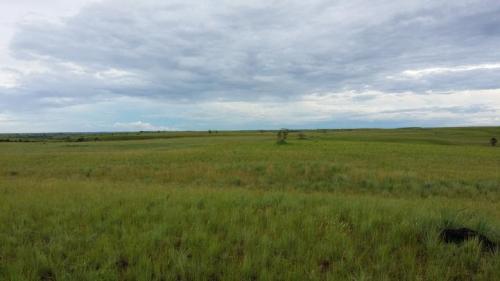 VENTA ESPECTACULAR FINCA EN PUERTO LOPEZ META