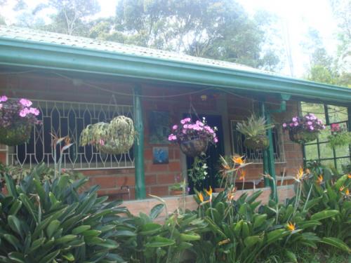 FINCA  0090 GUARNE VEREDA MONTAÑEZ