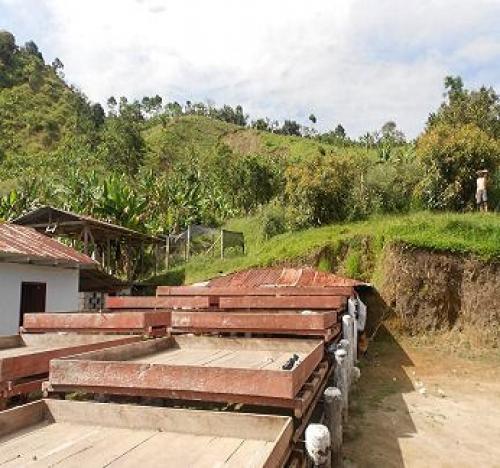 Vendo Finca Productiva en elMunicipio de Fresno