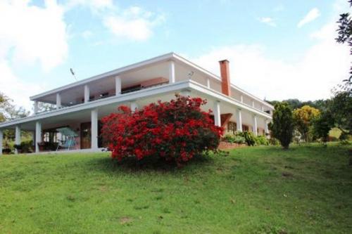 SE VENDE FINCA GANADERA EN DARIEN CON 208.079 METROS2 LA PRIMAVERA