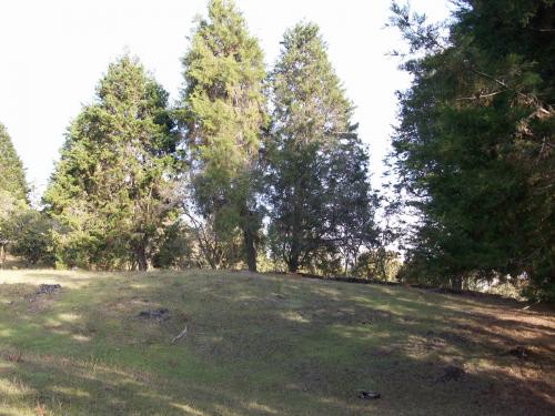 Lote veredal cerca a la autopista