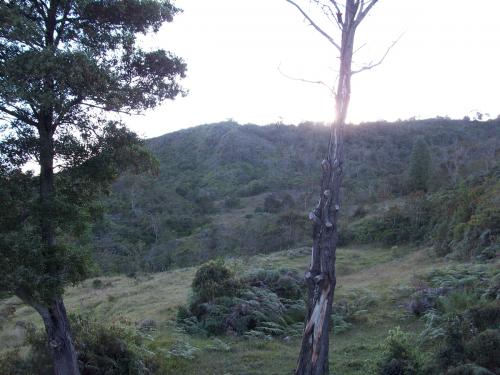 Lote veredal