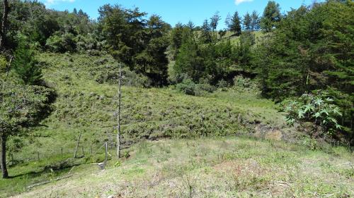 Lote veredal