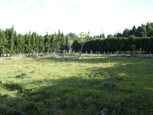 Lote industrial
