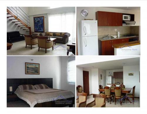 ALQUILER APARTAMENTO AMOBLADO EN EL POBLADO CÓDIGO 2092