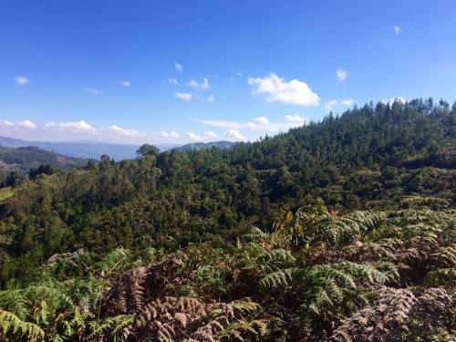 Hermoso lote Vereda batea seca Guarne