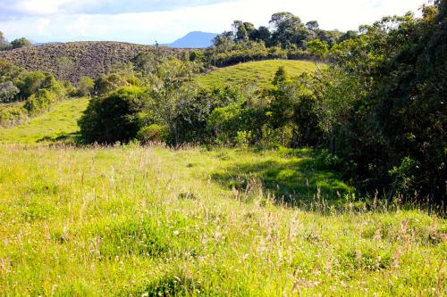 Finca de 30 cuadras, Carmen de Viboral.