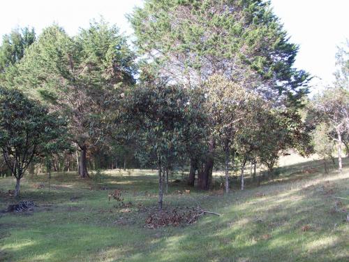 Espectacular Lote 50.500 mts2, Guarne.