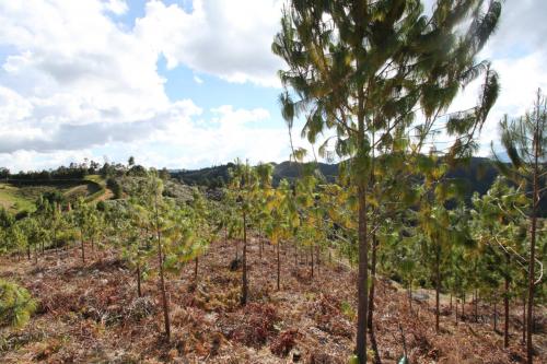 Lote 72.000mts2 Piedras Blancas, Guarne.