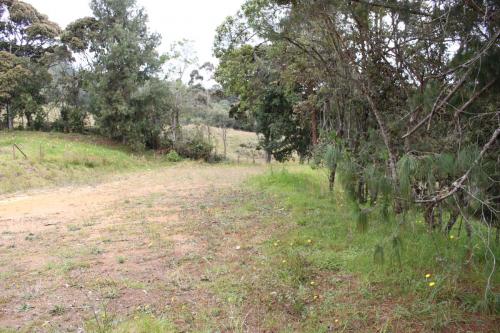 Lote 2.533 mts2 unidad cerrada, Envigado.