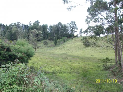 Lote industrial 28.200mts2, Guarne.