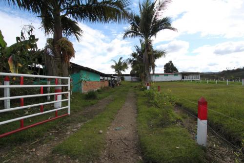 Finca 55.000mts2, San Vicente.