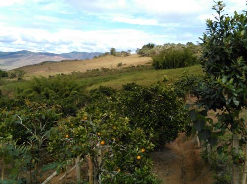 VENDO FINCA EN RESTREPO DE CULTIVO PRODUCION TODO EL AÑO