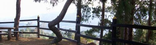 Finca Las Muchachas en el oriente Antioqueño