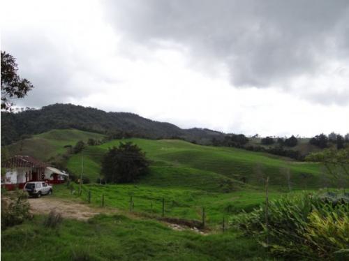 Vendo finca en La Ceja 200 cuadras