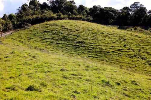 Finca 30 cuadras, en el Carmen de Viboral