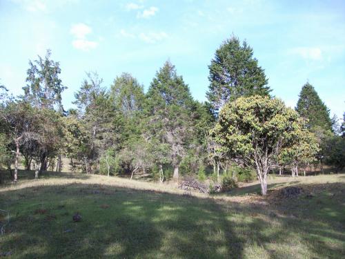 Vendo Lote de 50.500 mts2, en Guarne.