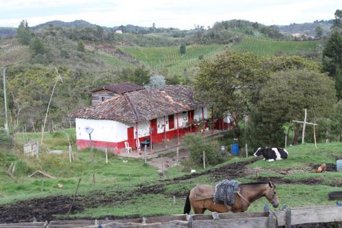 Finca San Vicente, entrada por el pueblo.