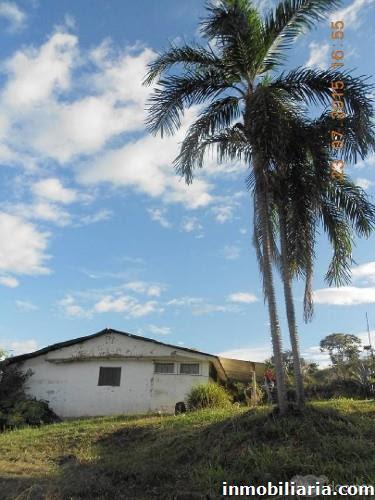 Vendo finca a 2 km de Morales Cauca (El Placer)