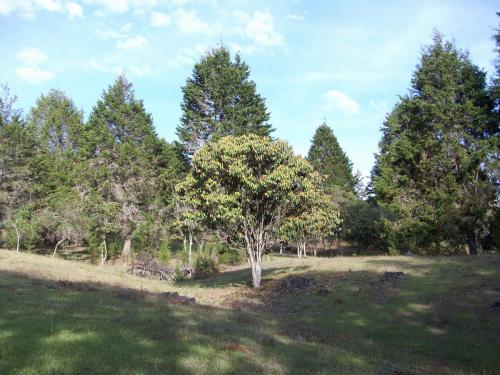 Lote en Guarne de 50.500 mts2. Vendo