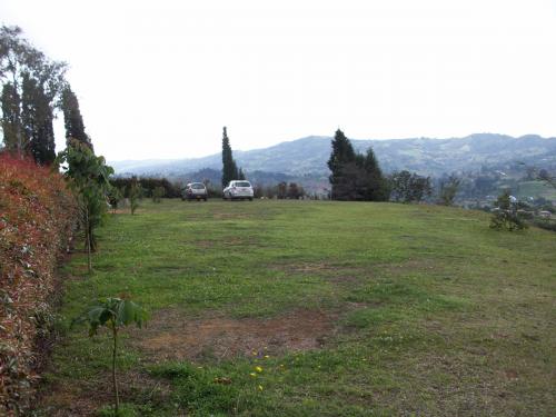 Lote por la sede del Nacional, Guarne