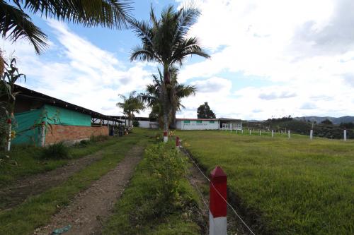 Finca en San Vicente 55.000 mt2