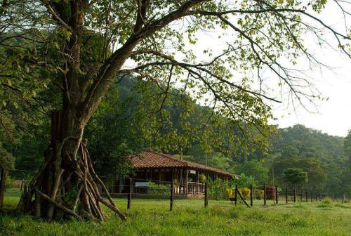 FINCA EN EL EJE CAFETERO VITORIA CALDAS