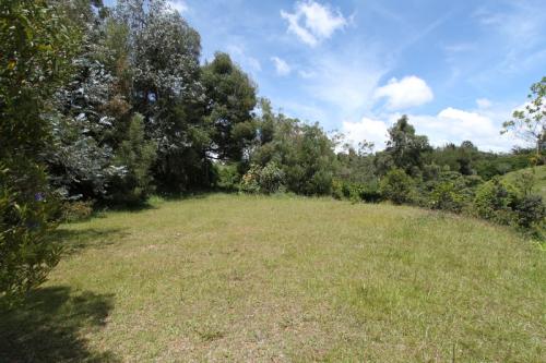 Lote en Rionegro, vereda La Cuchilla