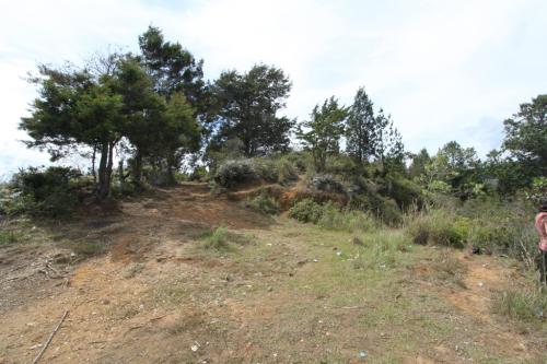 Lote por la vía a Santa Helena, Guarne