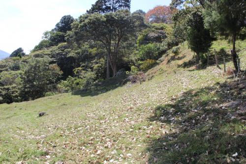 Lote en Girardota, vereda La Matica(059)