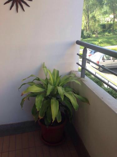 Apartamento 57mtrs2 en la loma de los Bernal.