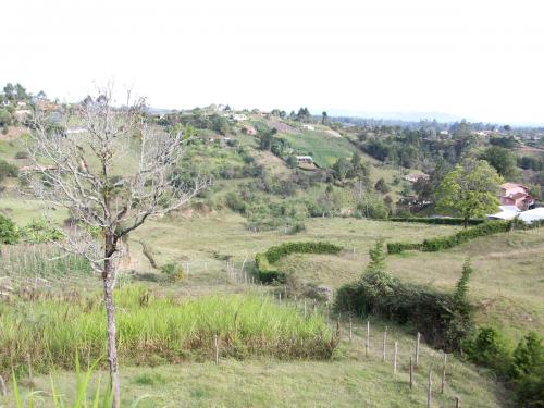 Finca entrada a Chaparral.(022)