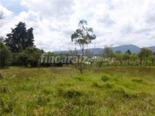 LOTE TENJO 3130 METROS USO RESIDENCIAL