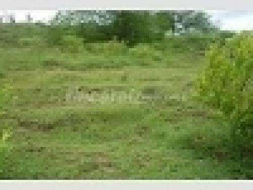 LOTE CHIA 3000 METROS VEREDA FONQUETA 