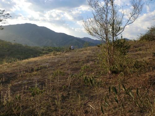 Lote 7.231 mts2 Santa Fe de Antioquia(052)